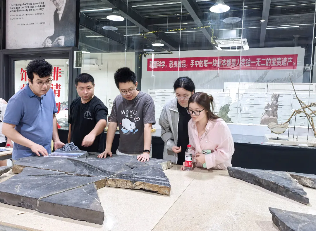 Fossil Specimen Donation Ceremony Held at Yingliang Museum by China University of Geosciences (Wuhan) (5).webp