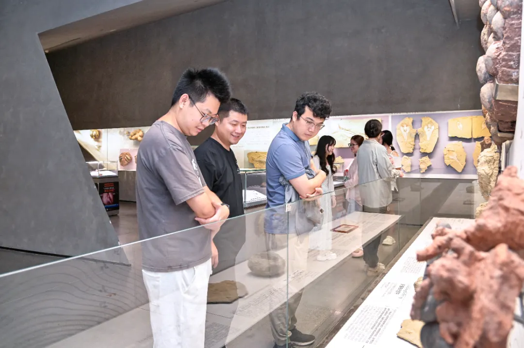 Fossil Specimen Donation Ceremony Held at Yingliang Museum by China University of Geosciences (Wuhan) (3).webp