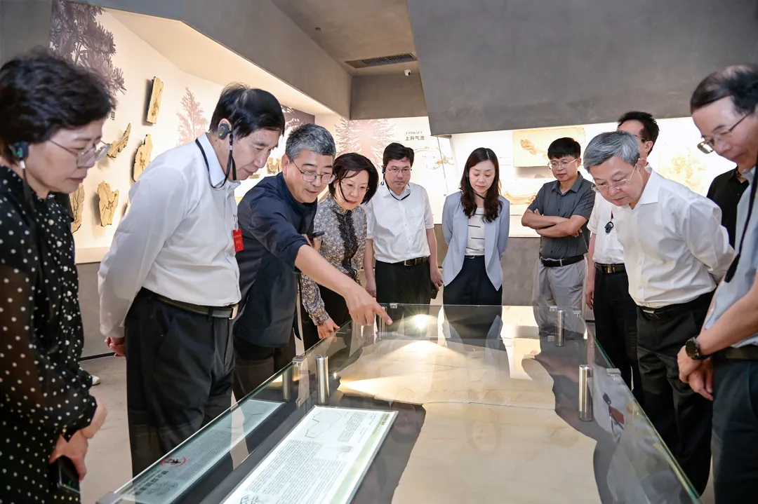 Fujian Provincial Delegation of National People's Congress Visits Yingliang Group for Inspection and Research (5).webp