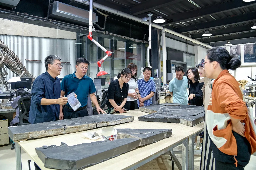 Wang Shilin, Secretary of the Party Committee and Executive Deputy Director of the National Museum of Nature, Visits Yingliang Group for Guidance (8).webp