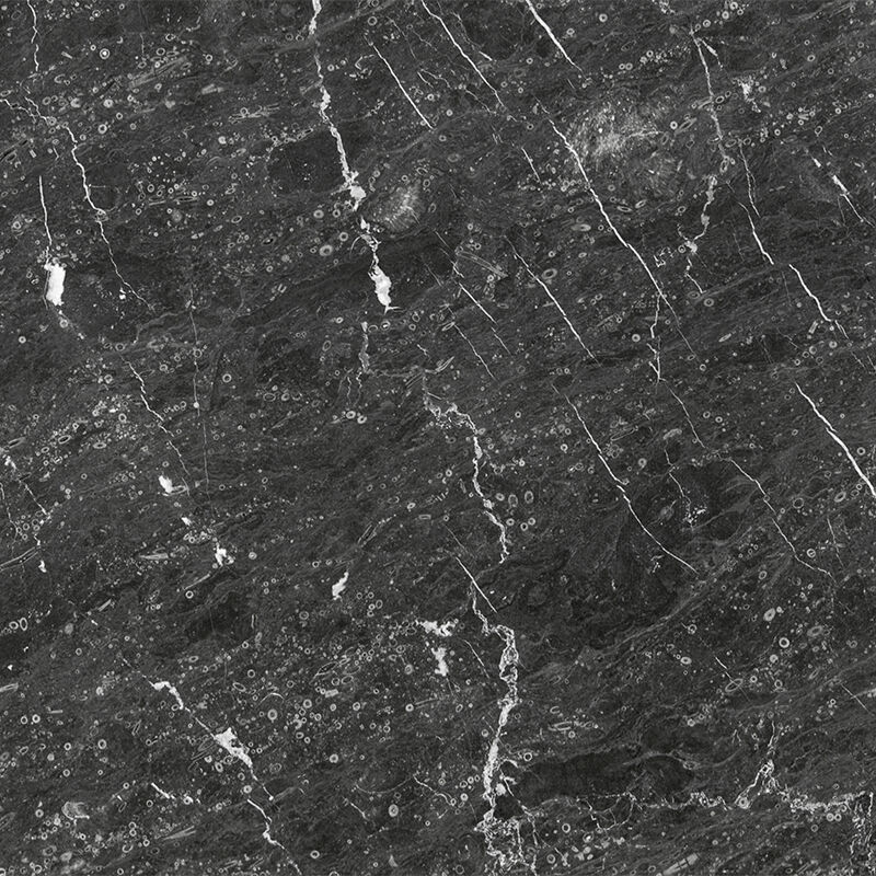 Lily Grey Grey & Black Natural Stone Marble with White Veins & Circular Speckle Texture