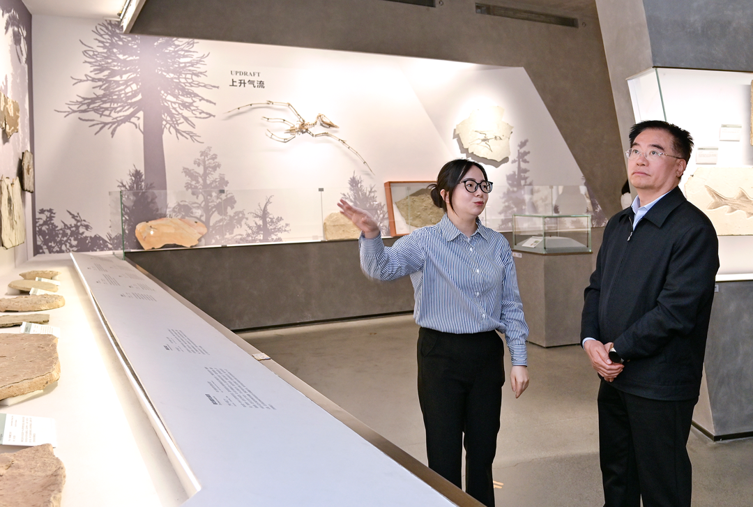 Zhou Lianqing, Secretary of the Party Leadership Group and Deputy Director of the Fujian Provincial People's Congress Standing Committee, Visits Yingliang Group for Inspection and Research (2).png