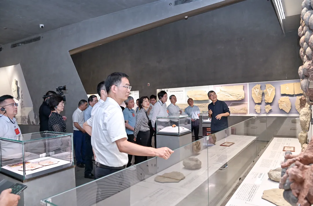 Fujian Provincial Delegation of National People's Congress Visits Yingliang Group for Inspection and Research (7).webp