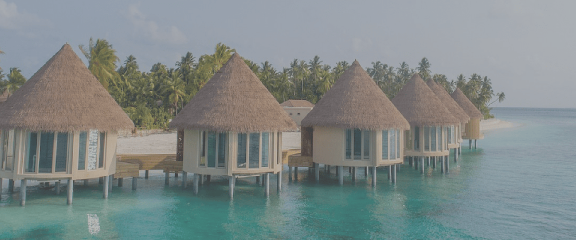 Maldives Palm Thatch