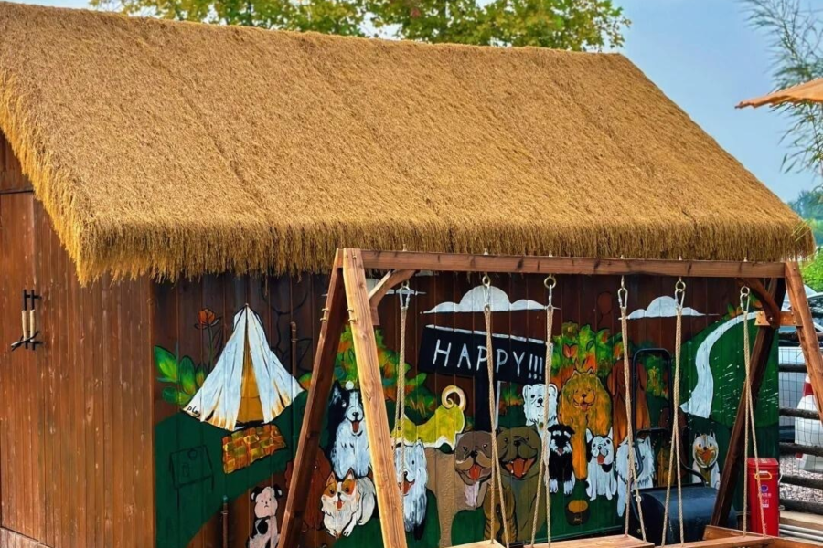 Carpet Thatch: Innovation in Design