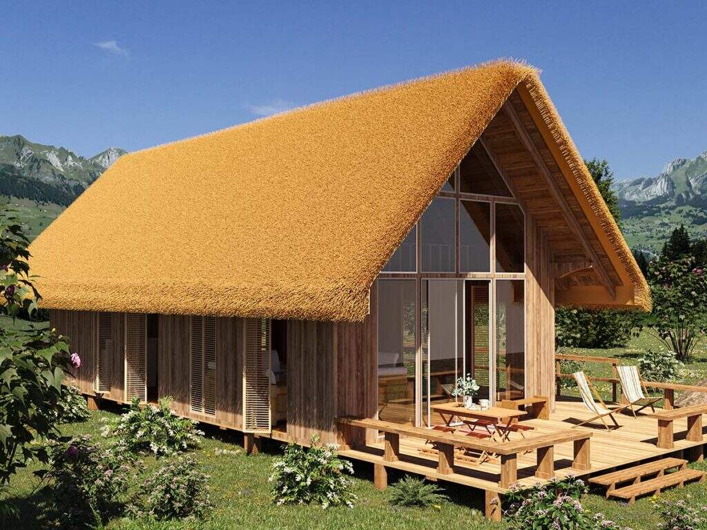 Carpet Thatch