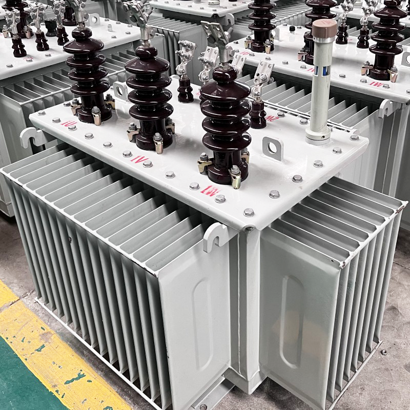 Single phase oil-immersed power transformer