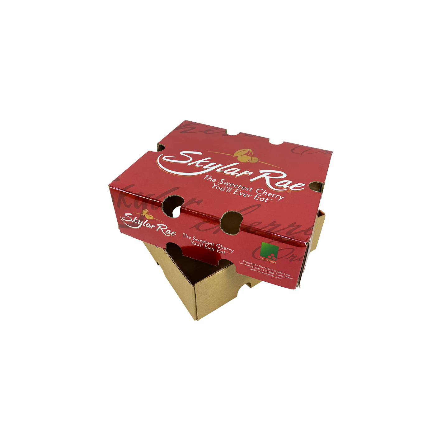 Unmatched Benefits of Berry Packaging