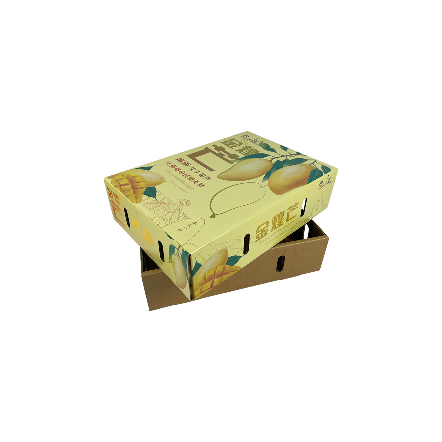 Custom Design Services Tailored to Your Needs