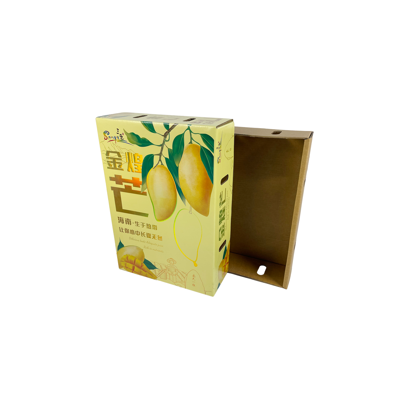 Eco-Friendly Packaging Solutions