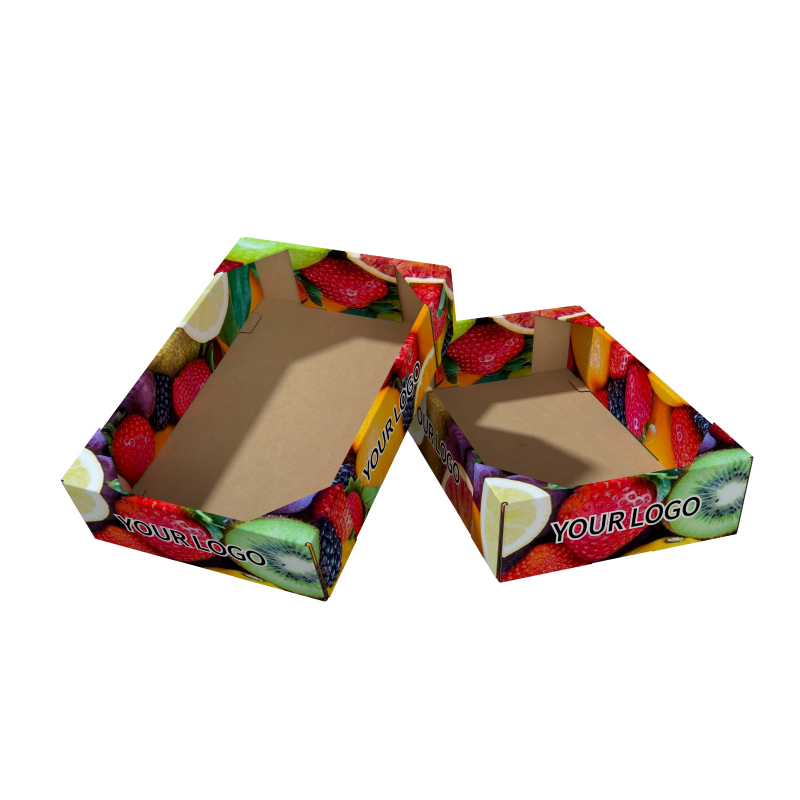 Premium Fruit Box With Lid for Optimal Freshness