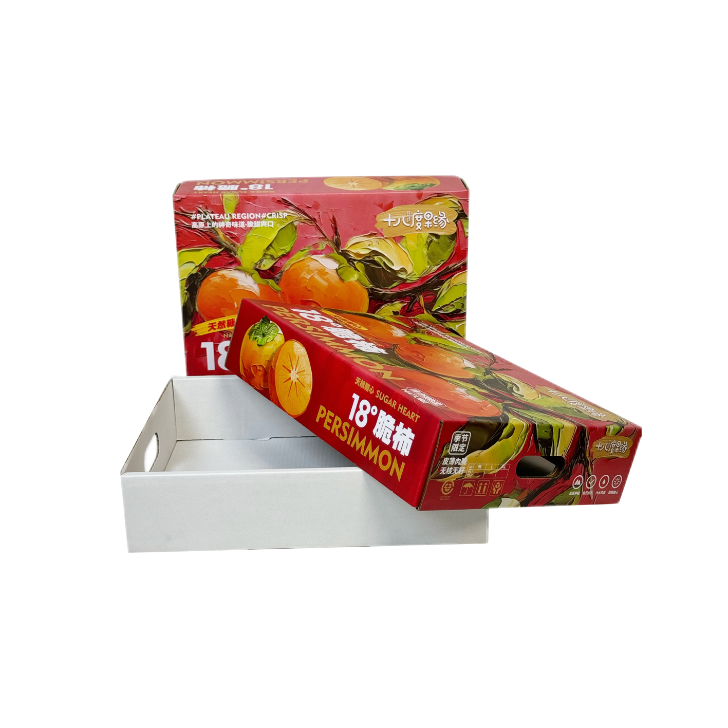 Commitment to Sustainability