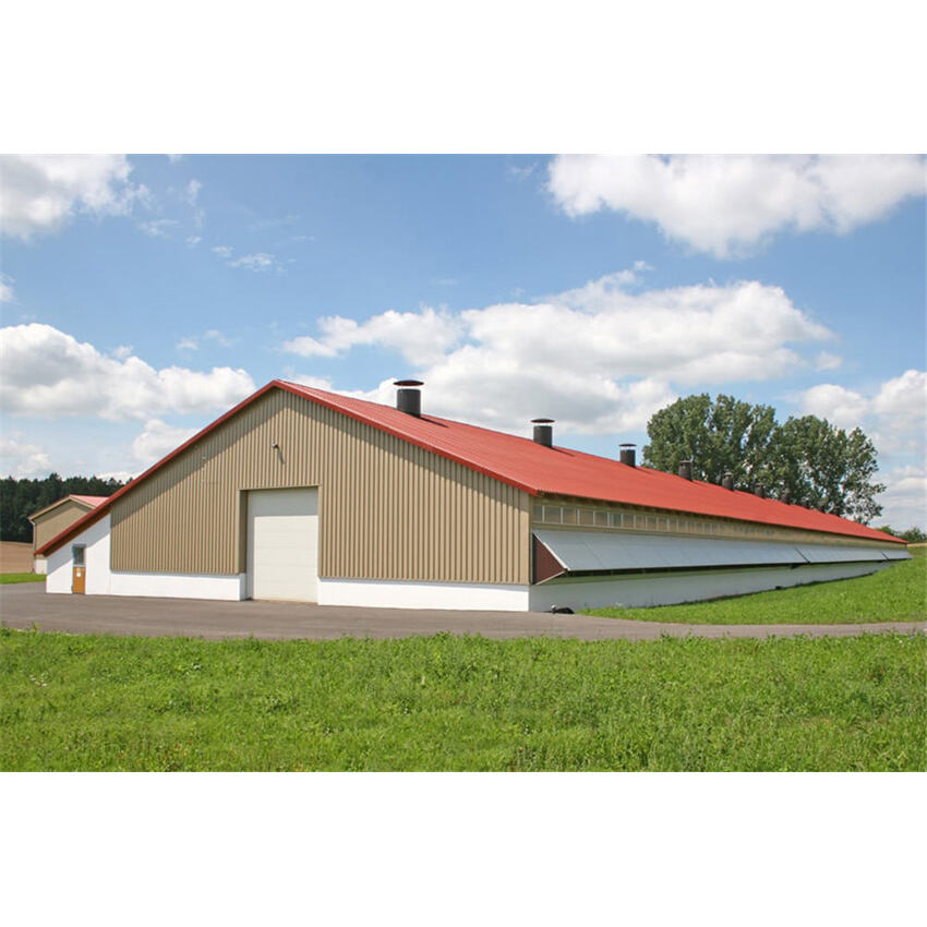 How to Optimize Chicken Farm Layout with Prefab Steel Structures
