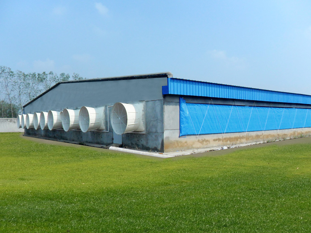 Kako optimirati prezračevanje v prefabrikiranih kokošjih hišah?