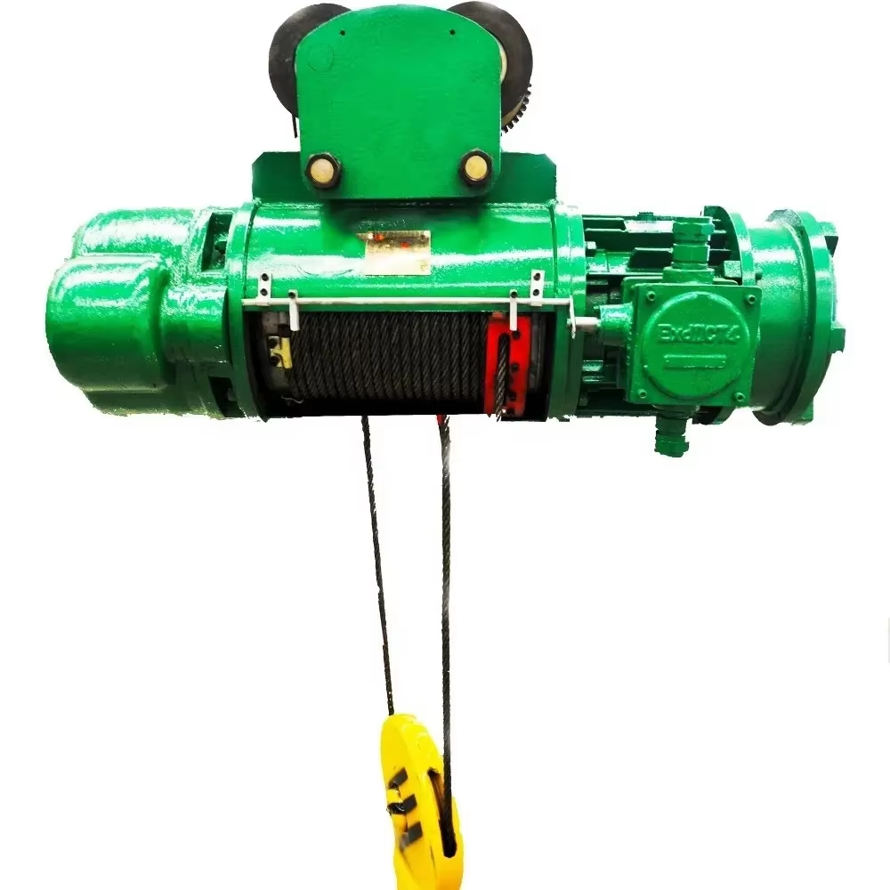 Budget - Friendly Electric Hoists for Small Businesses