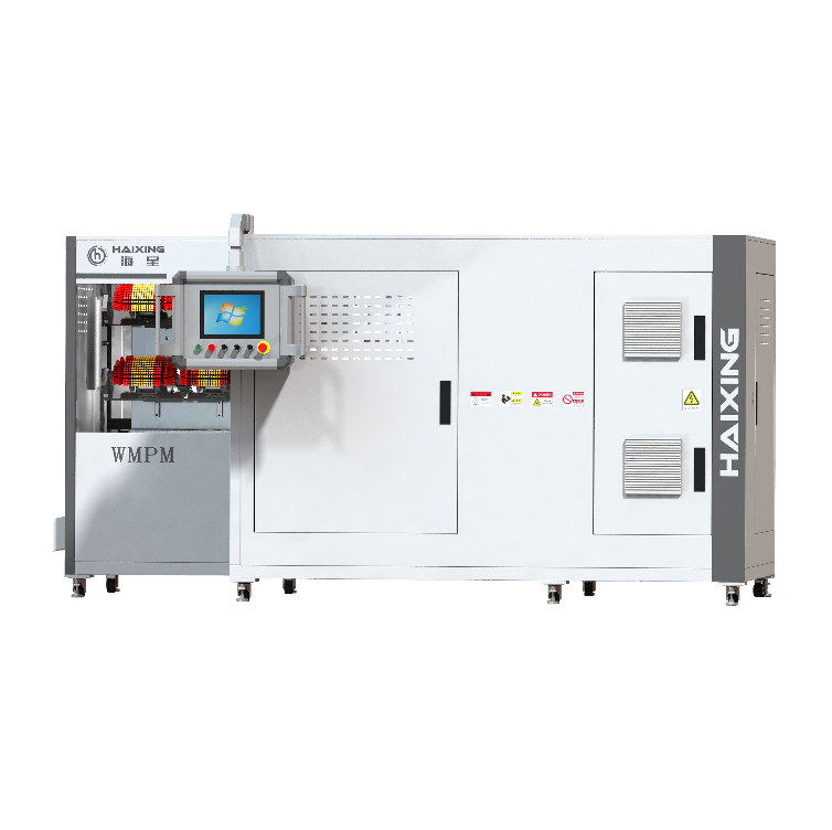 Multiaspect Brush Trimming and Flagging Machine WMPM