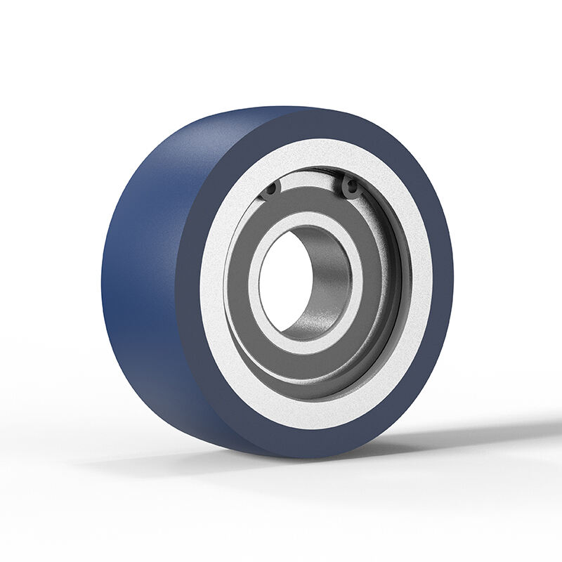 Serie HED - Rueda guía de poliuretano