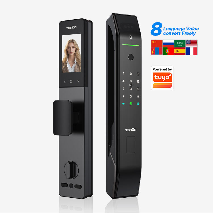 Residential 3D Face Fingerprint Smart Door Lock with Camera Tenon D2 Pro