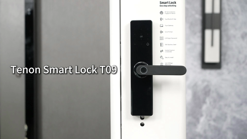 Tenon Smart Lock TO9