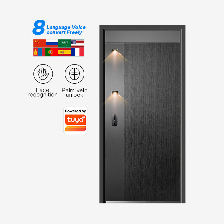 Steel Smart Security Home Main Door Tenon M3