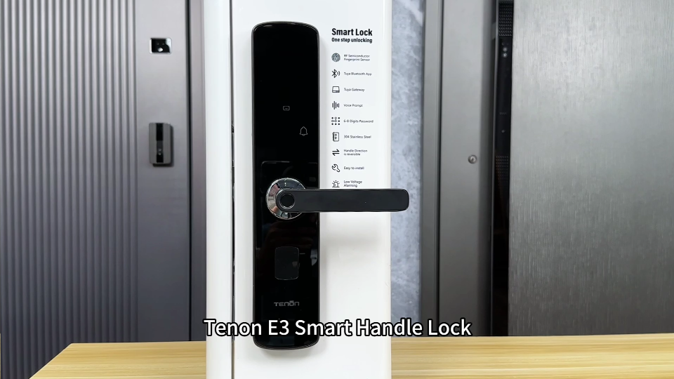 Tenon E3 smart Handle Lock