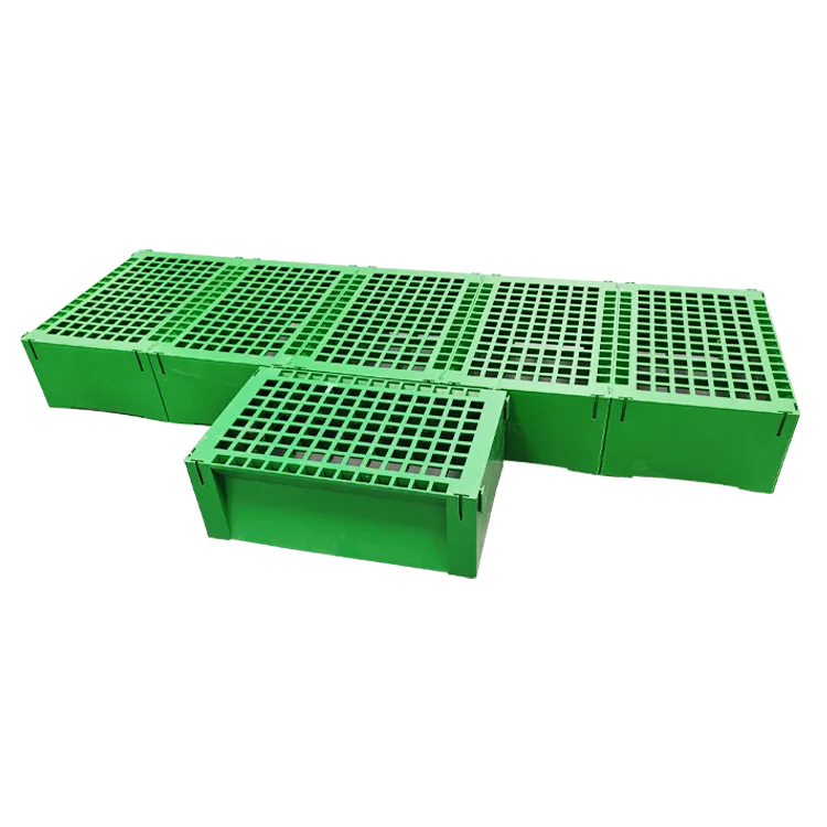 Retail Floor Plastic Display Stand for Large Packaging | Custom POP Display Manufacturer