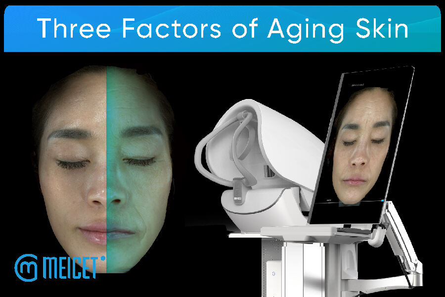 Three Factors of Aging Skin