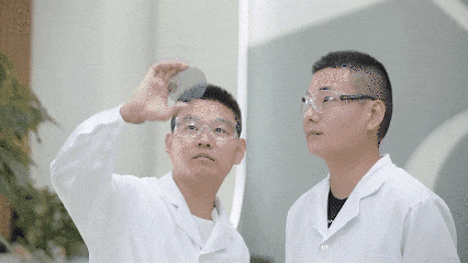 640.gif
