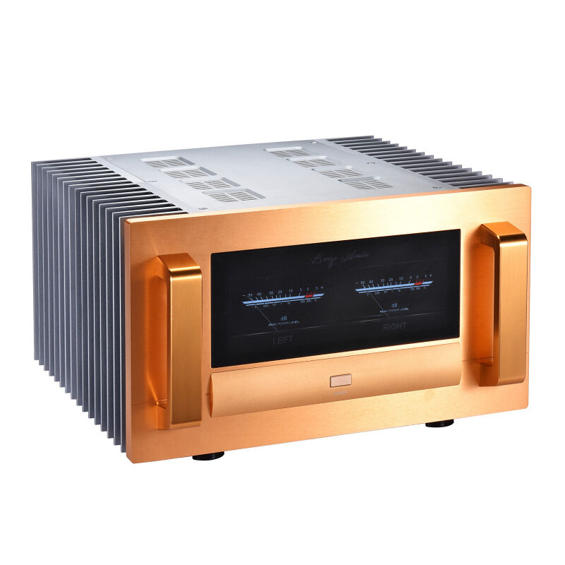 Is Buying HiFi Digital Amplifiers Direct from Suppliers a Smart Choice?