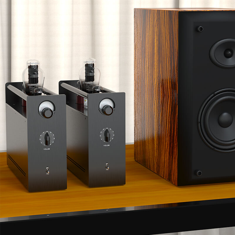 Unmatched Sound Quality and Musical Engagement