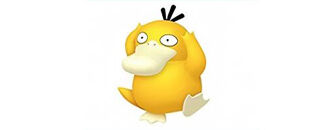 Our Business Partner