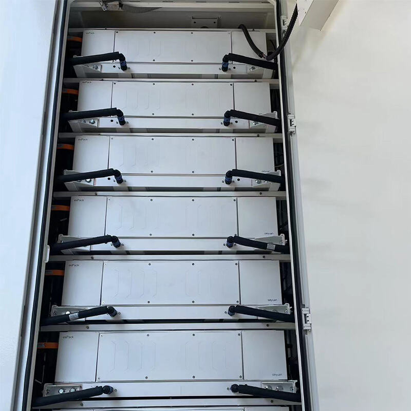 Commitment to Sustainable Green Energy with BESS