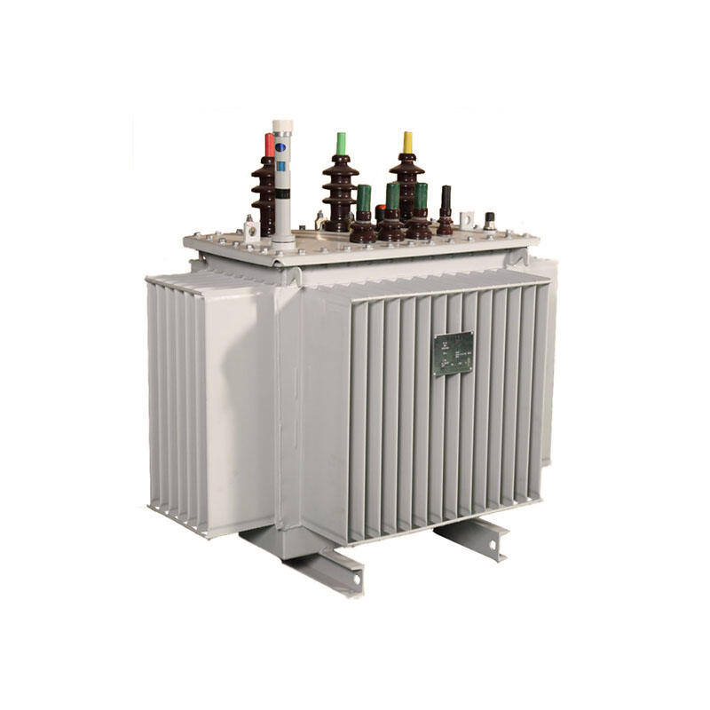 Heavy-Duty High-Voltage Transformer: Trusted for Global Power Projects