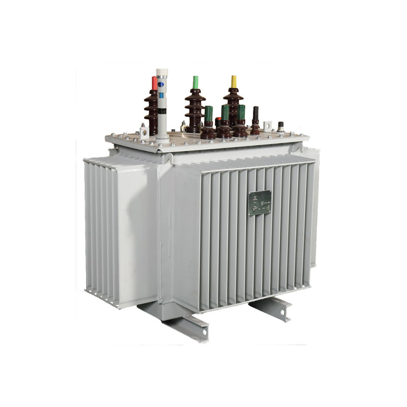 What are the characteristics of oil-immersed transformers for power systems?
