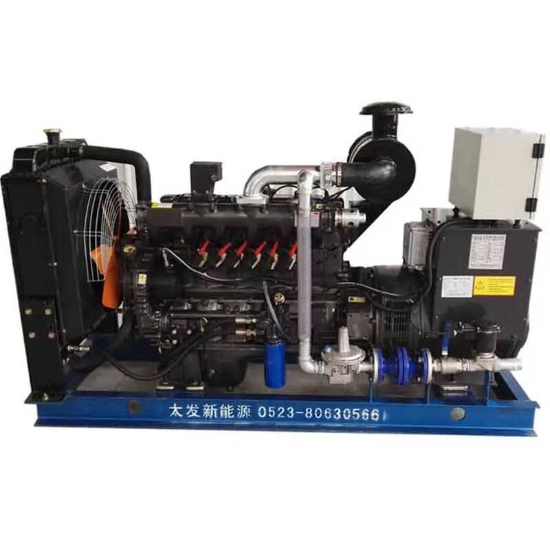 Janpan Biomass Power Generator Manufacturers and Factory