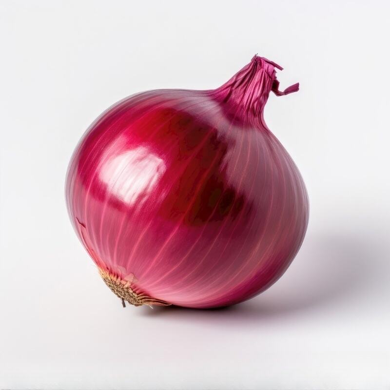 Vita Shelf Prolungata e Stabilità durante l'Archiviazione