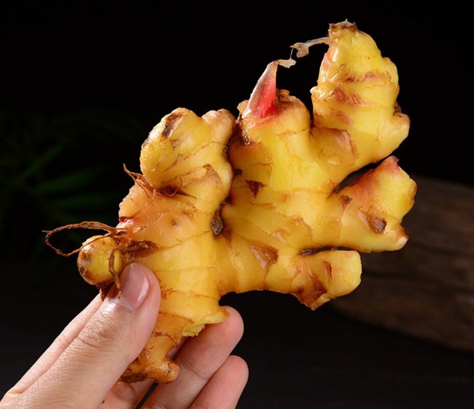 Yaxshilangan biologik mavjudlik va oziq moddalar tarkibi