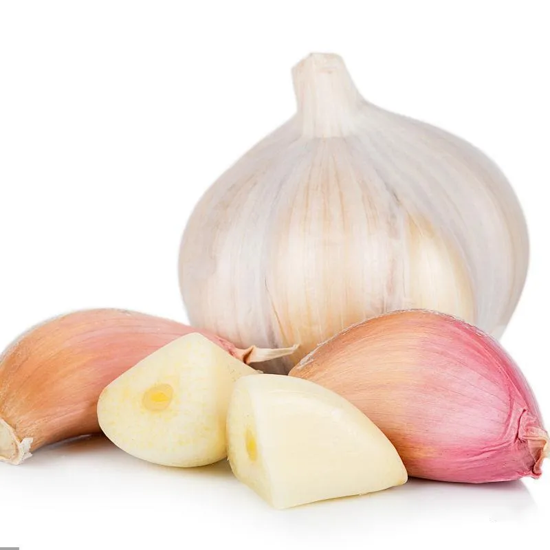 What to Consider When Importing Garlic in Bulk Quantities?