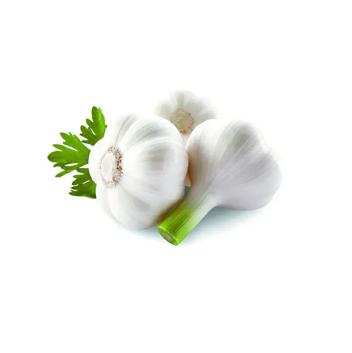 Hochwertige frische Knoblauch in Großpackungen günstig Neuer Ernte