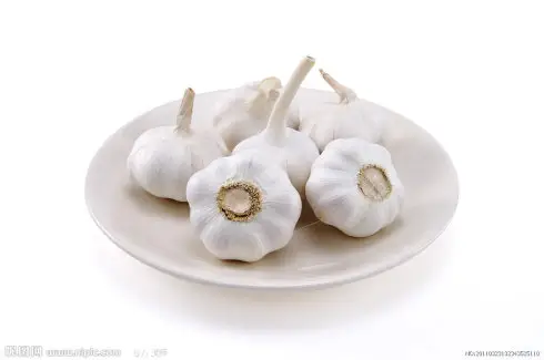 อายุการเก็บรักษาที่ยาวนานและคุณภาพที่คงทน