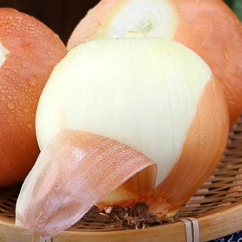 Na-enhance na Imbakan at Pagmamaneho