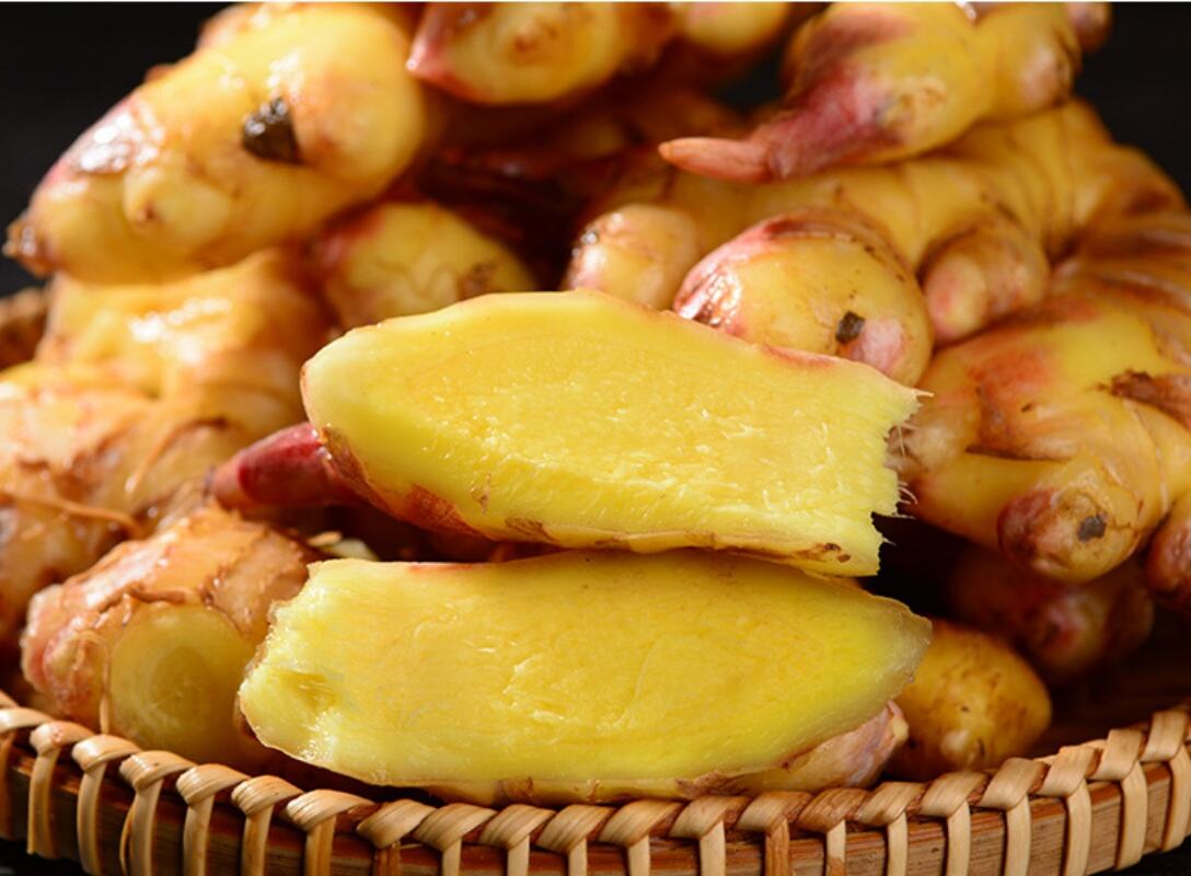 Yuqori darajadagi hazm qilishga yordam beruvchi va yallig'lanishga qarshi xususiyatlar