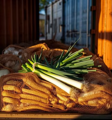 Sustainable Farming Impact