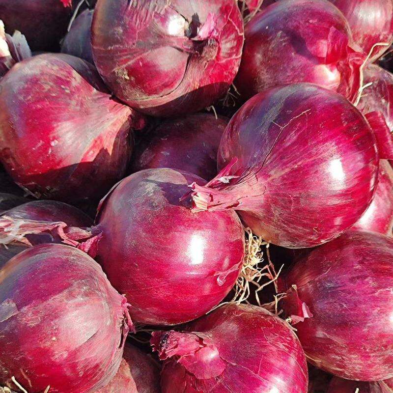 Extended Shelf Life and Storage