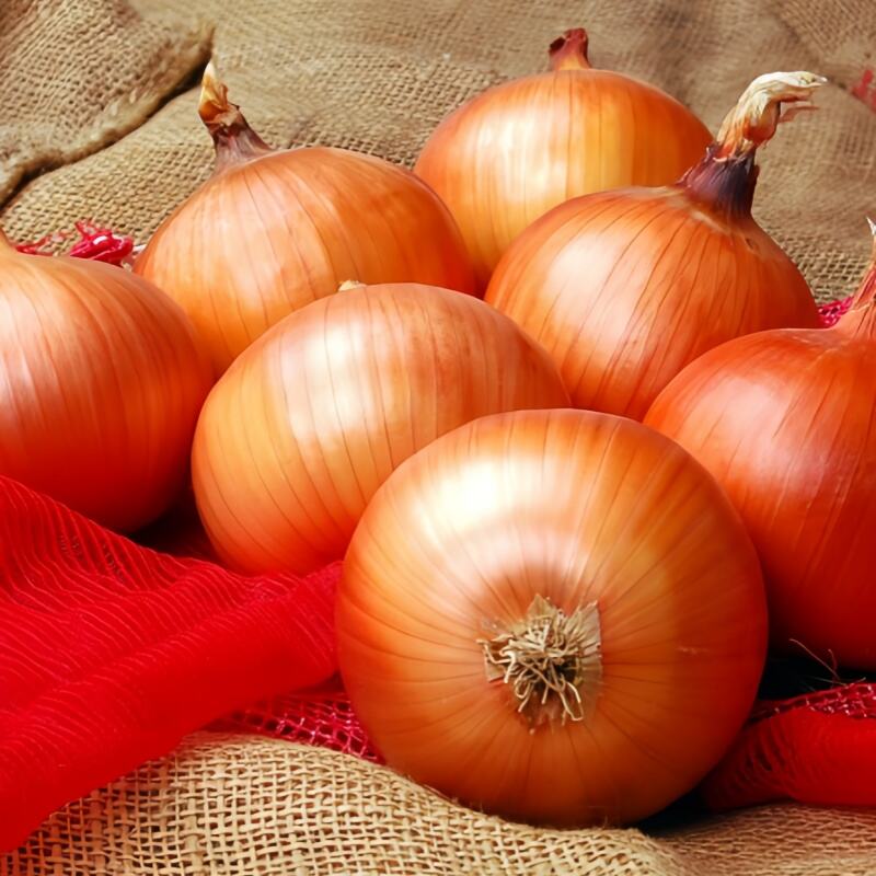 What Are the Benefits of Sourcing Premium Onions From Global Suppliers in China?