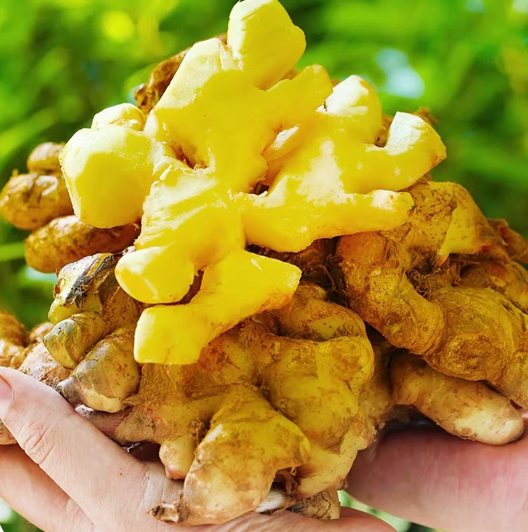 Yuqori ta'm va hid xususiyatlari