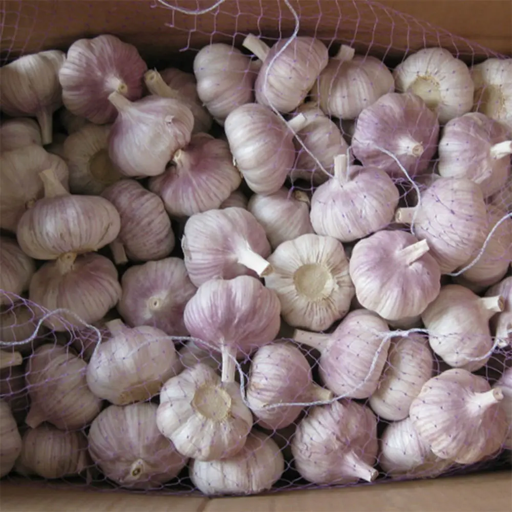 Hb526519f352848ad83a620e5ec732d8bt (1).webp