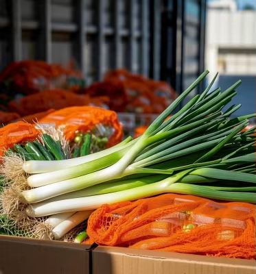 Pangmatagalang Pagkakapareho at Katiyakan