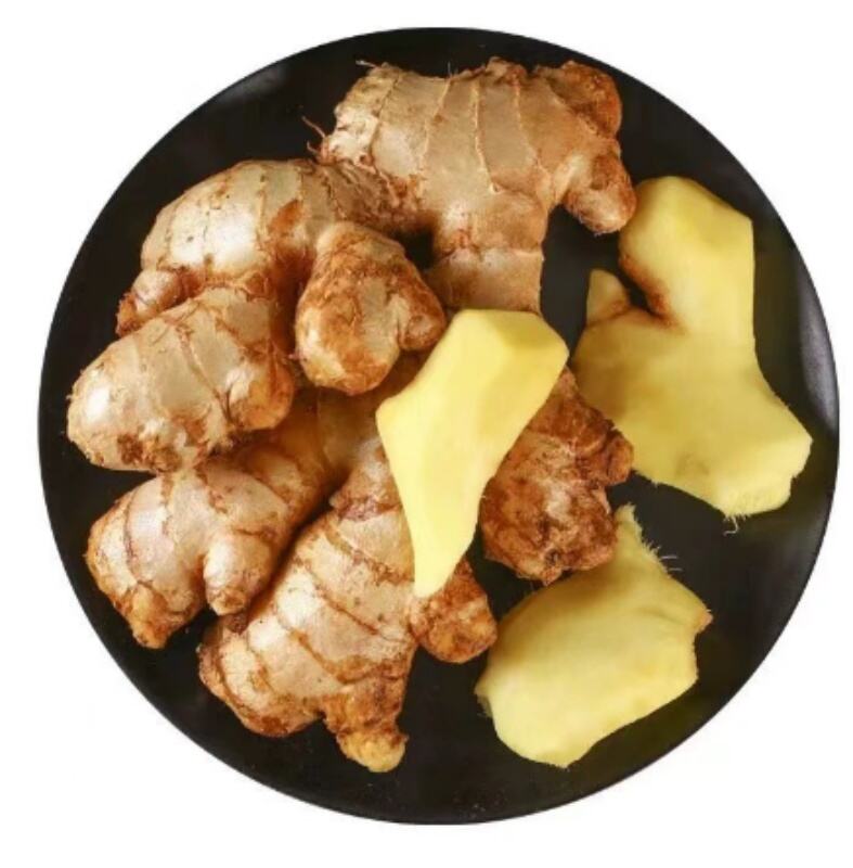 Frühjahrsingwer beste Qualität roter Ingwer aus Vietnam Ingwer Büffelgröße 150g - 350g ab Herkunft Vietnam
