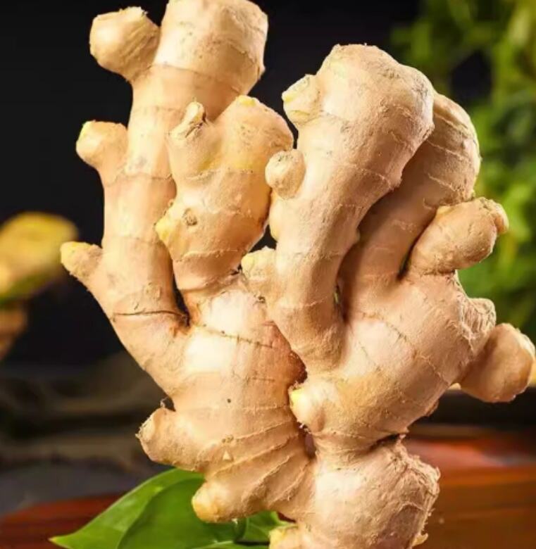 Kengaytirilgan ta'minotlar yo'nalishi boshqarilishi